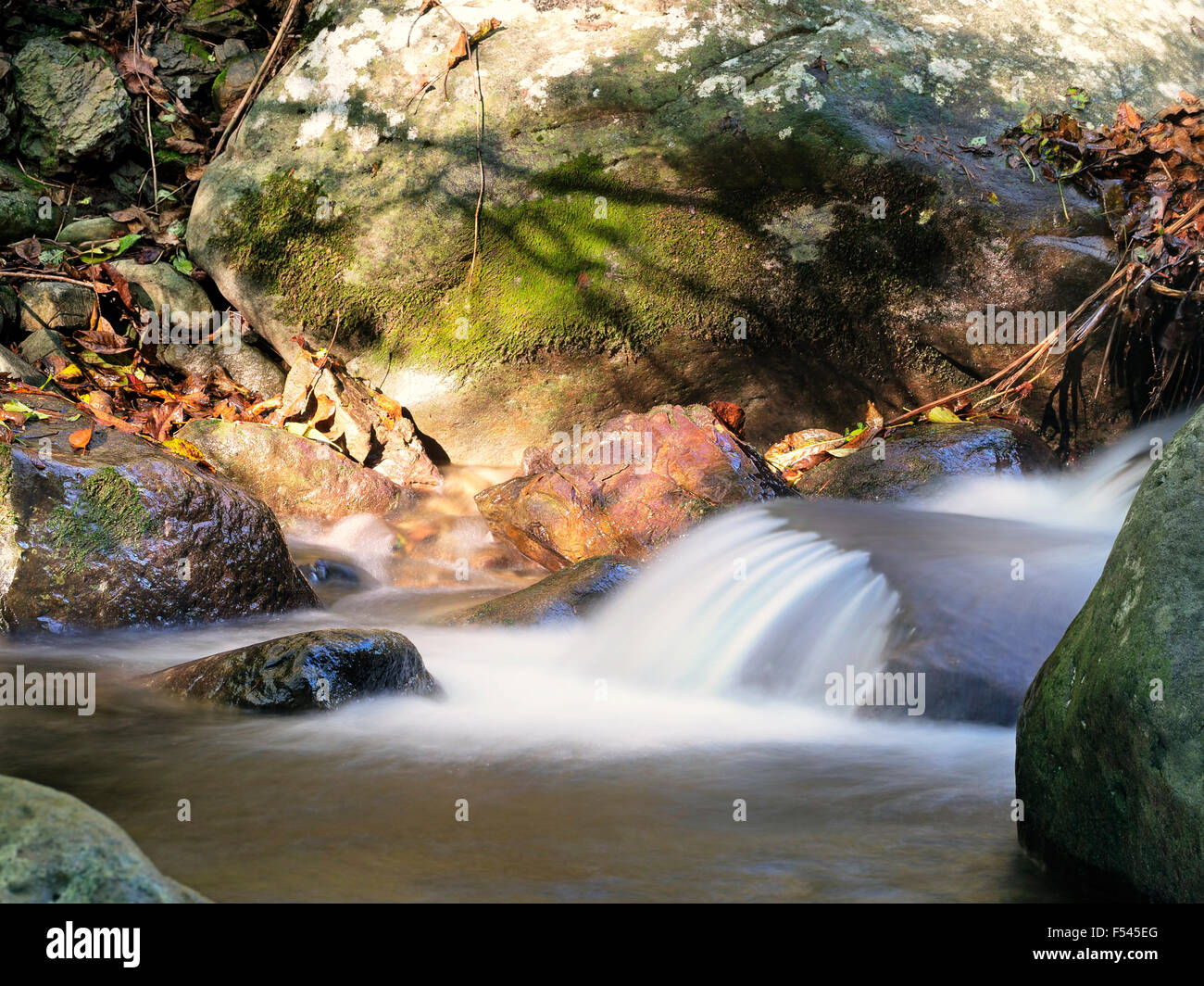 Natural background. Mountain spring detail, Italy. Long exposure with sun rays. Stock Photo