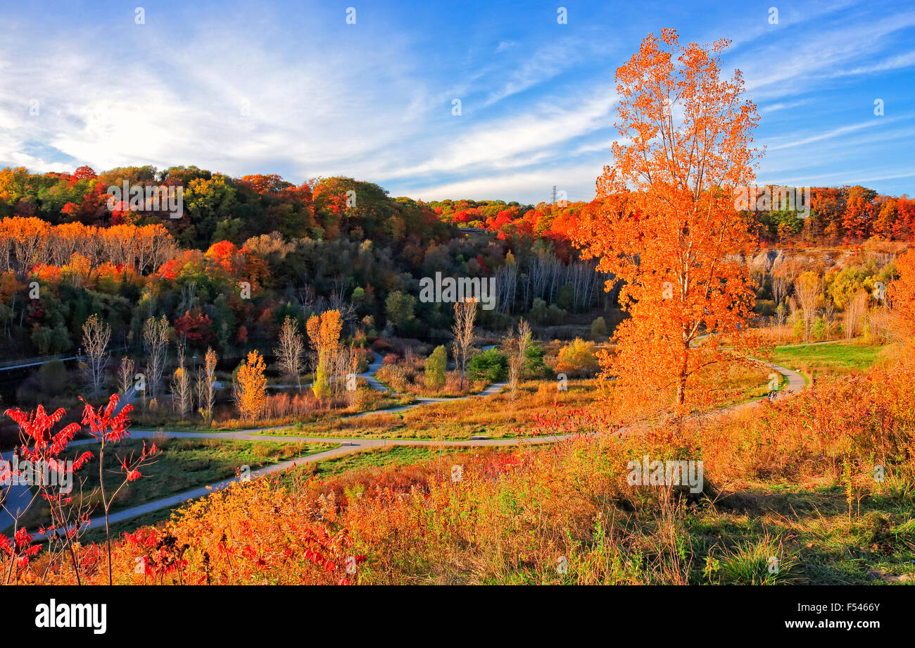 Evergreen Brick Works with brilliant and beautiful fall color in Don