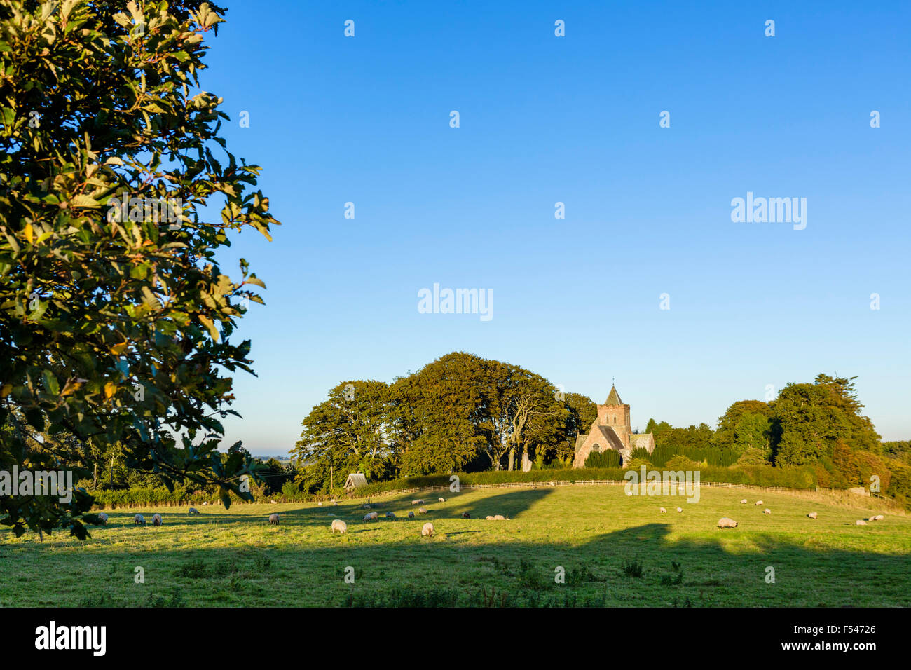 St Maurice Church in late afternoon autumn sunlight, Ellingham, near Alnwick, Northumberland, England, UK Stock Photo