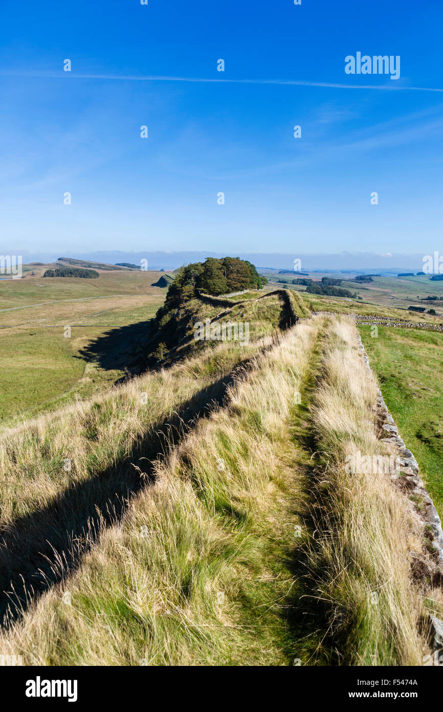 Hadrians wall fort tourist hires stock photography and images Alamy
