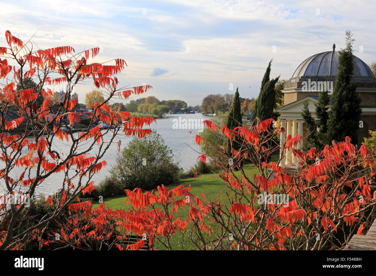 Hampton, Surrey, UK. 27th October 2015. The vivid red glow of schumach leaves in front of the Garrick Temple, on the River Thames at Hampton. Credit:  Julia Gavin UK/Alamy Live News Stock Photo