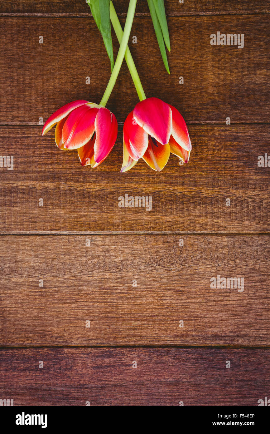 Most beautiful red flowers hi-res stock photography and images - Alamy