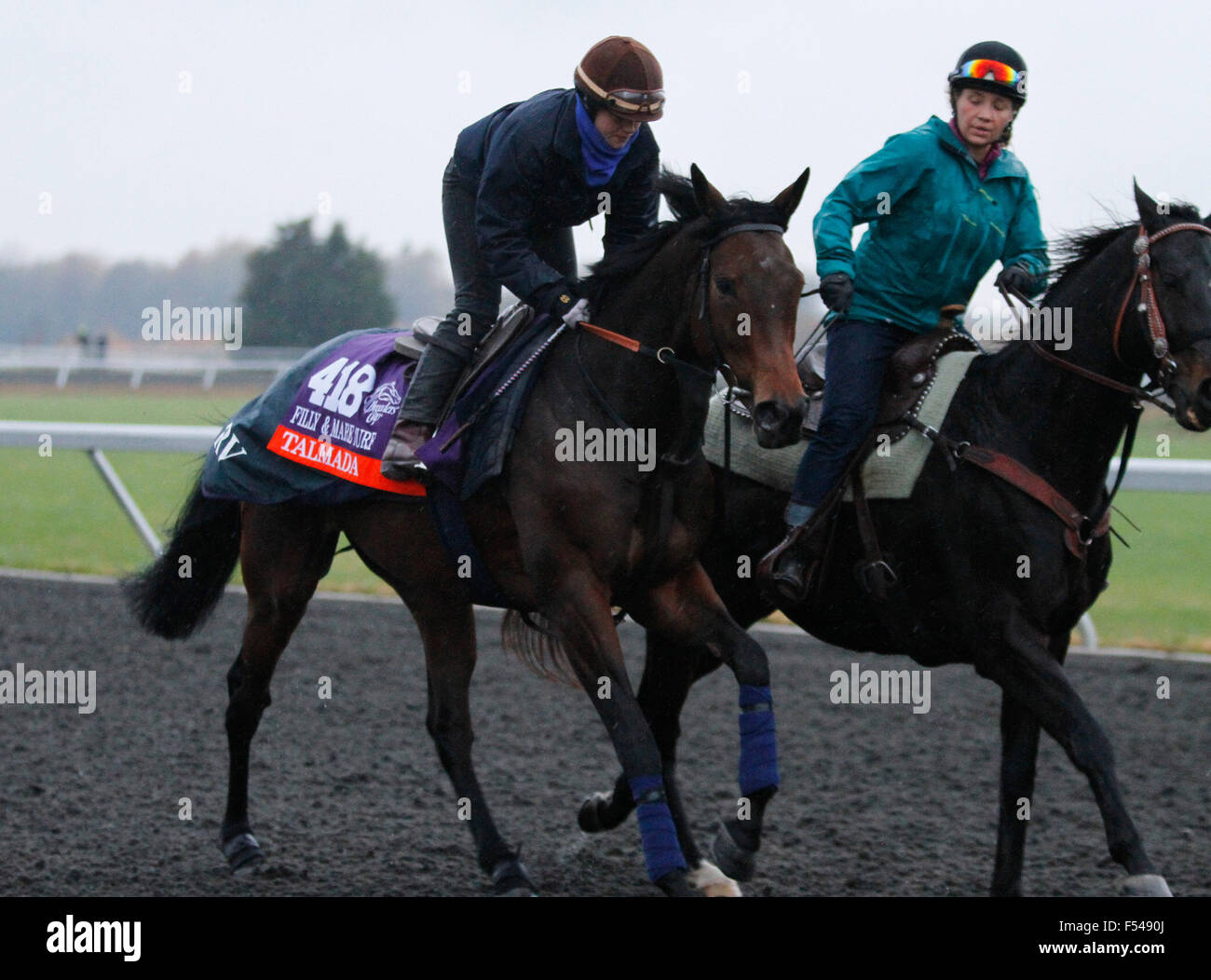 Lexington, KY, USA. 27th Oct, 2015. October 27, 2015 Talmada, trained