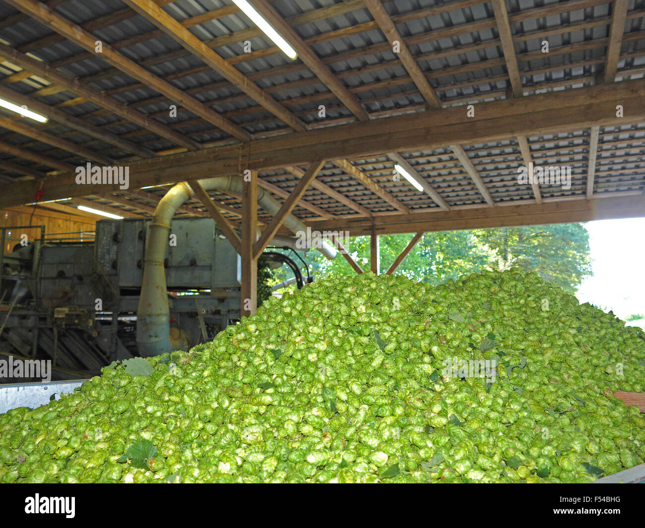 Hops picking machine bavaria germany hi-res stock photography and ...