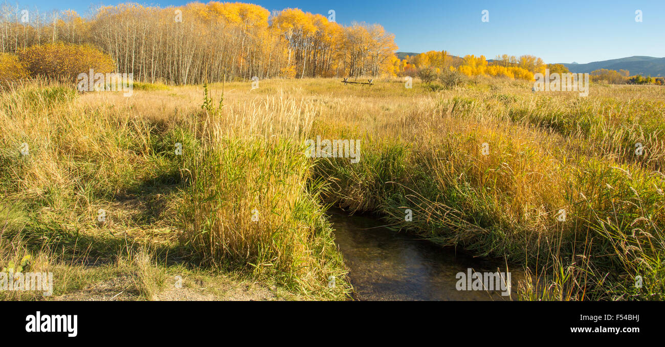 Colorful Fall Montana river and valley landscape. Stock Photo