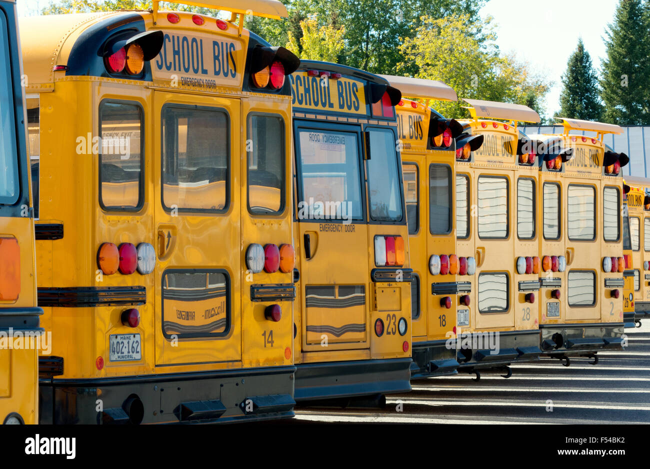 A row of US american yellow school buses seen from the back, Maine USA Stock Photo