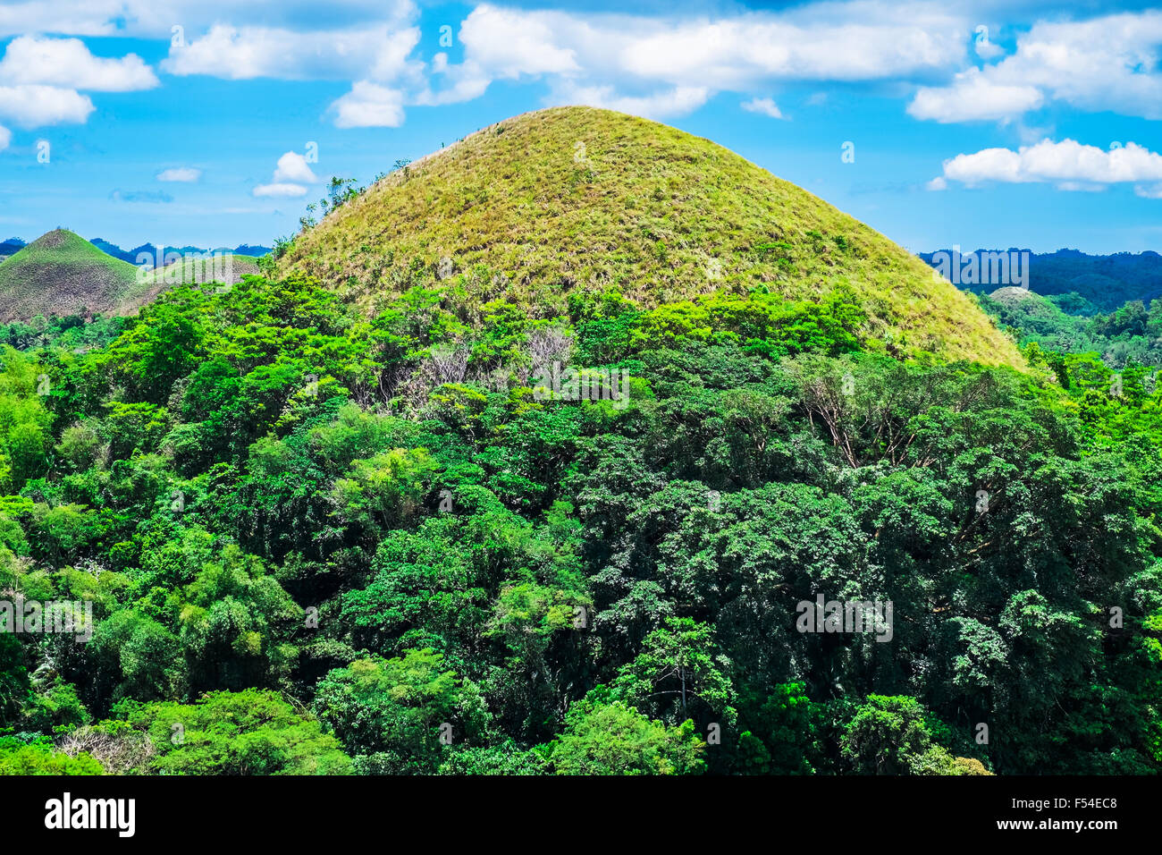 Chocolate Hills Natural Monument - All You Need to Know BEFORE You Go (with  Photos)