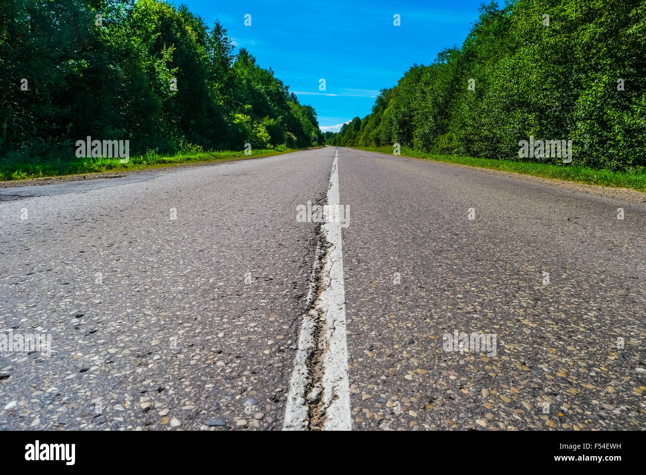Empty highway with green forest on both sides, crack in asfalt Stock Photo