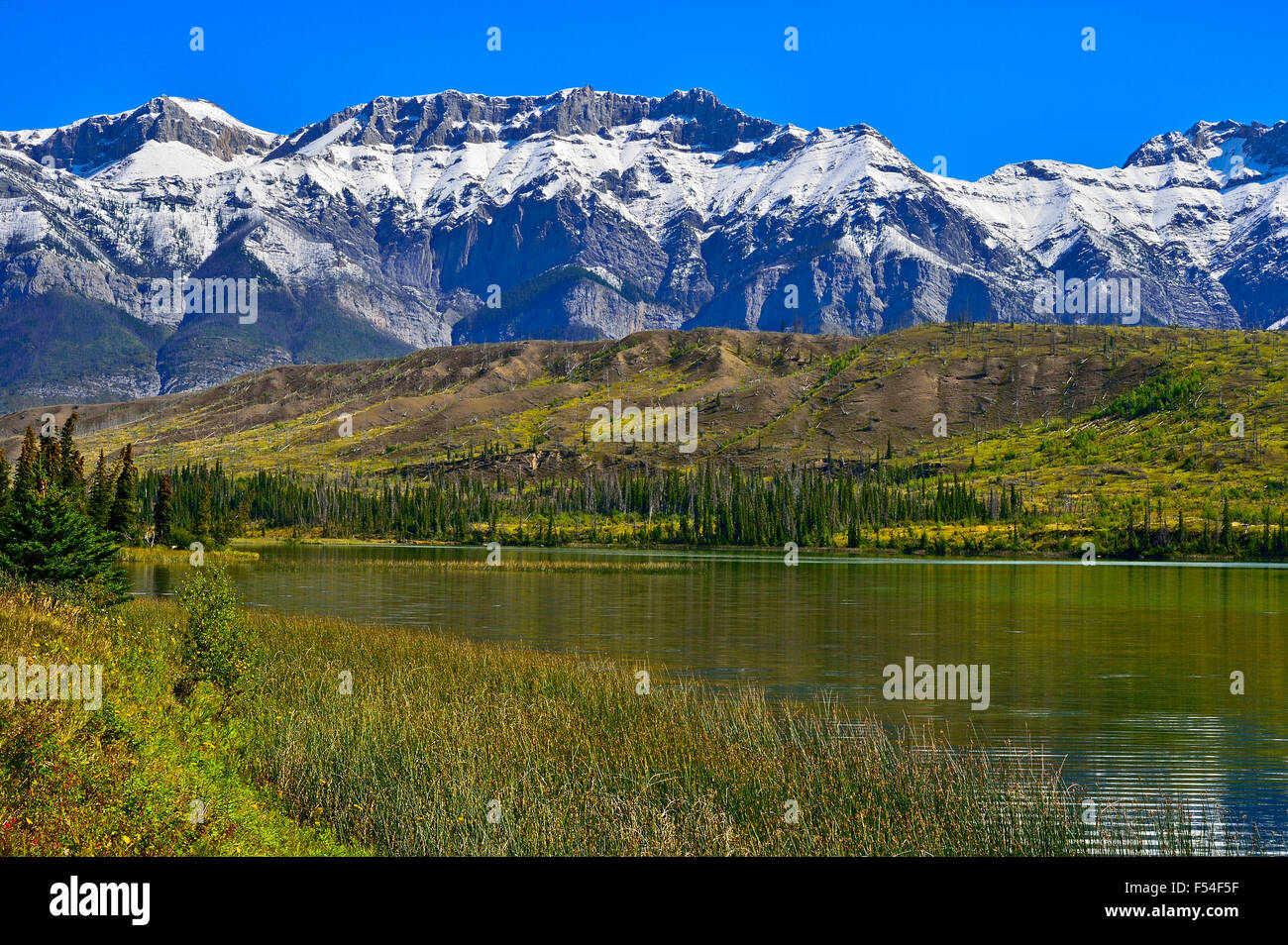 A late summer landscape image of Talbot lake, Sincline Ridge and the Miette mountain range in Jasper National Park Alberta, Stock Photo