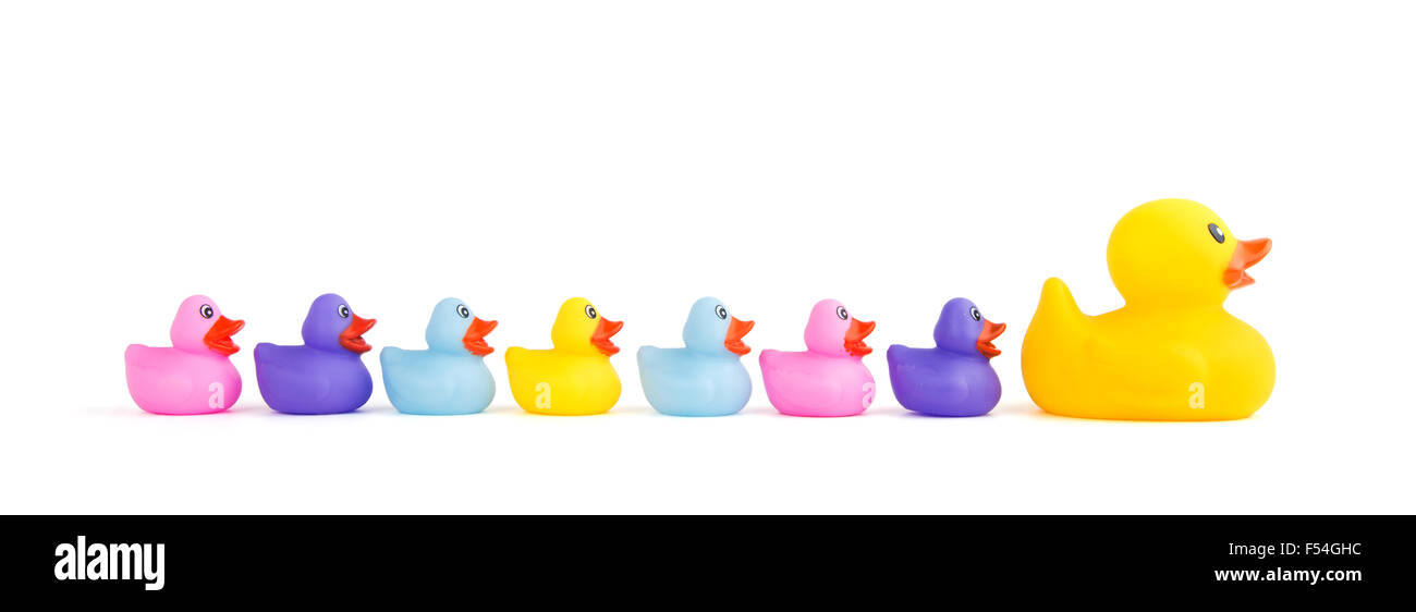 Big rubber duck leading a group of ducklings - concept for leadership Stock Photo