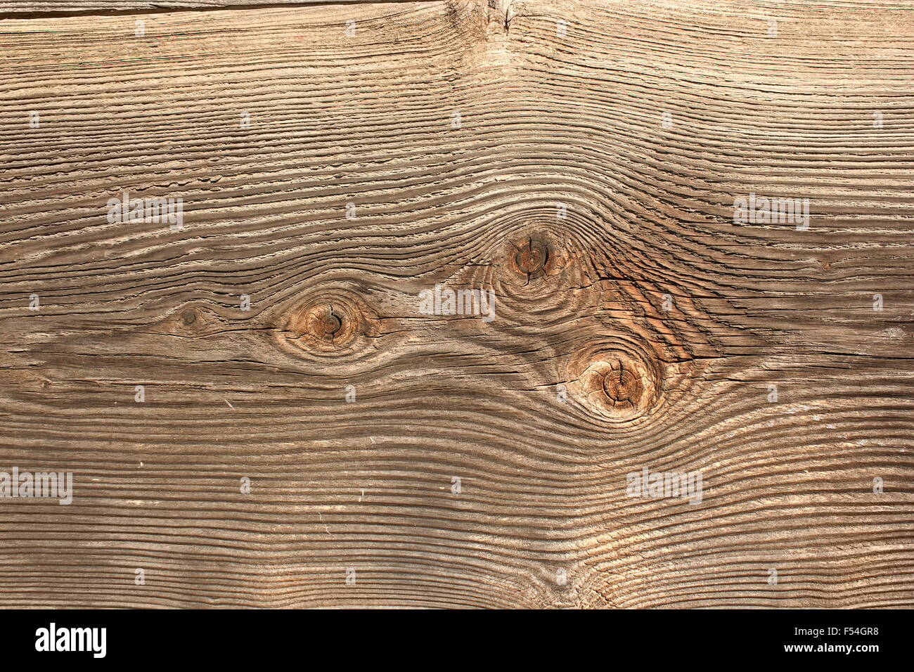 knots on wooden texture, close up of spruce weathered plank Stock Photo