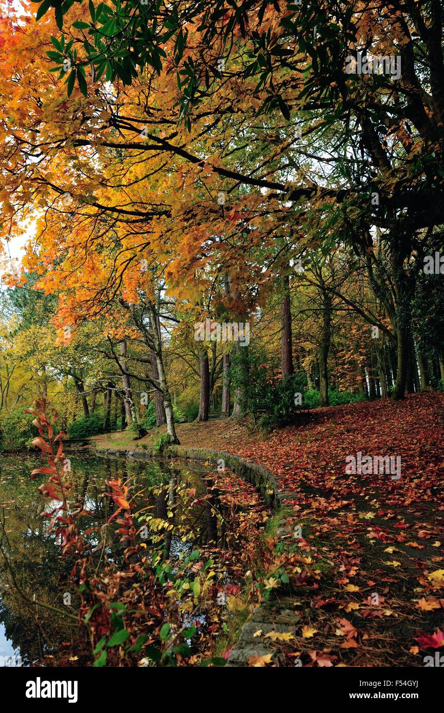 Autumn weather 2015 pollok country hi-res stock photography and images ...