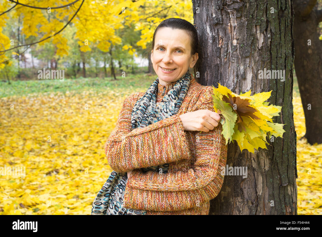 A smiling adult caucasian woman is picking yellow maple leaves in ...