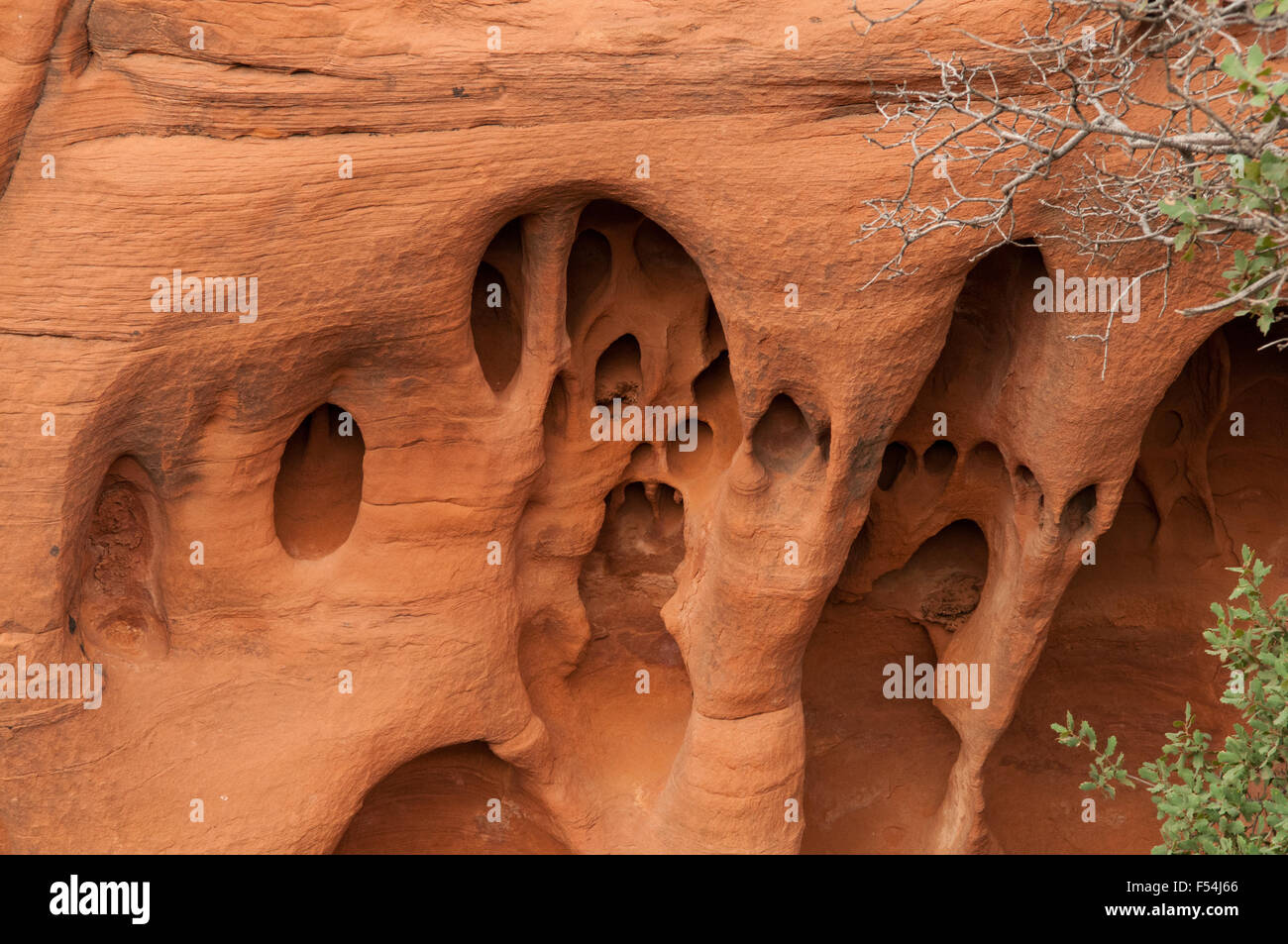 Water Eroded Cliff in Mystery Valley, Arizona, USA Stock Photo