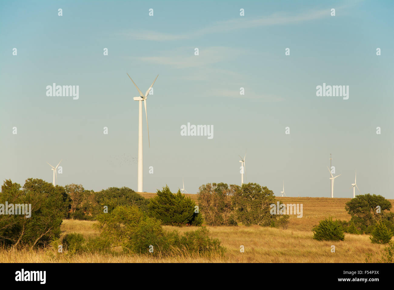 Windmill farm in rural landscape, in late afternoon sun Stock Photo