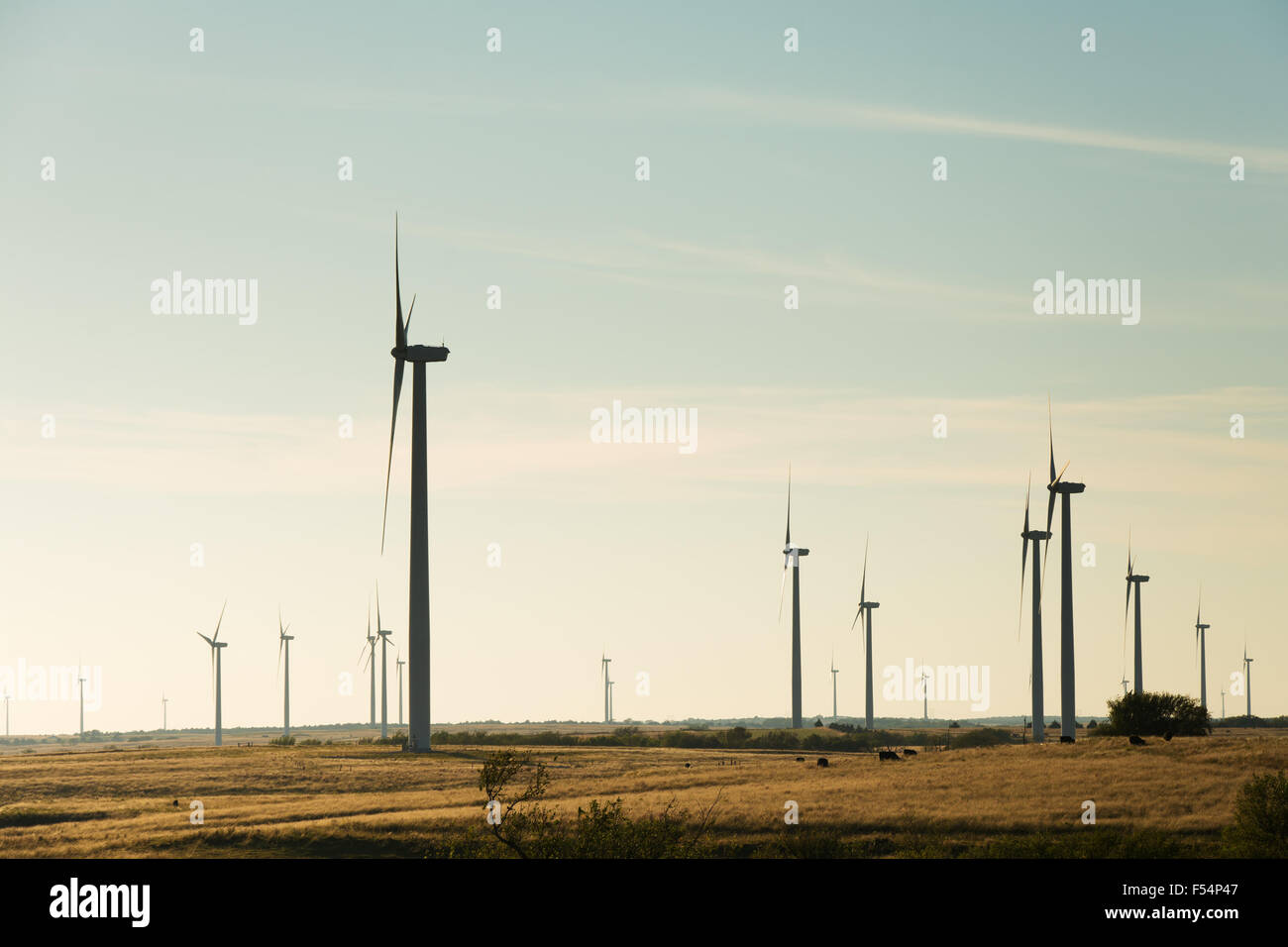 Silhouettes of wind mills in a rural area against late afternoon sky Stock Photo