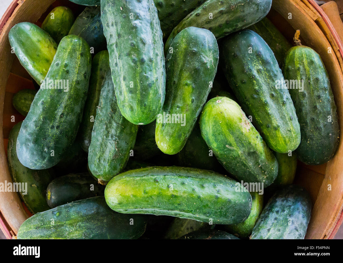 Cucumbers in a basket at a summer farmers market Stock Photo