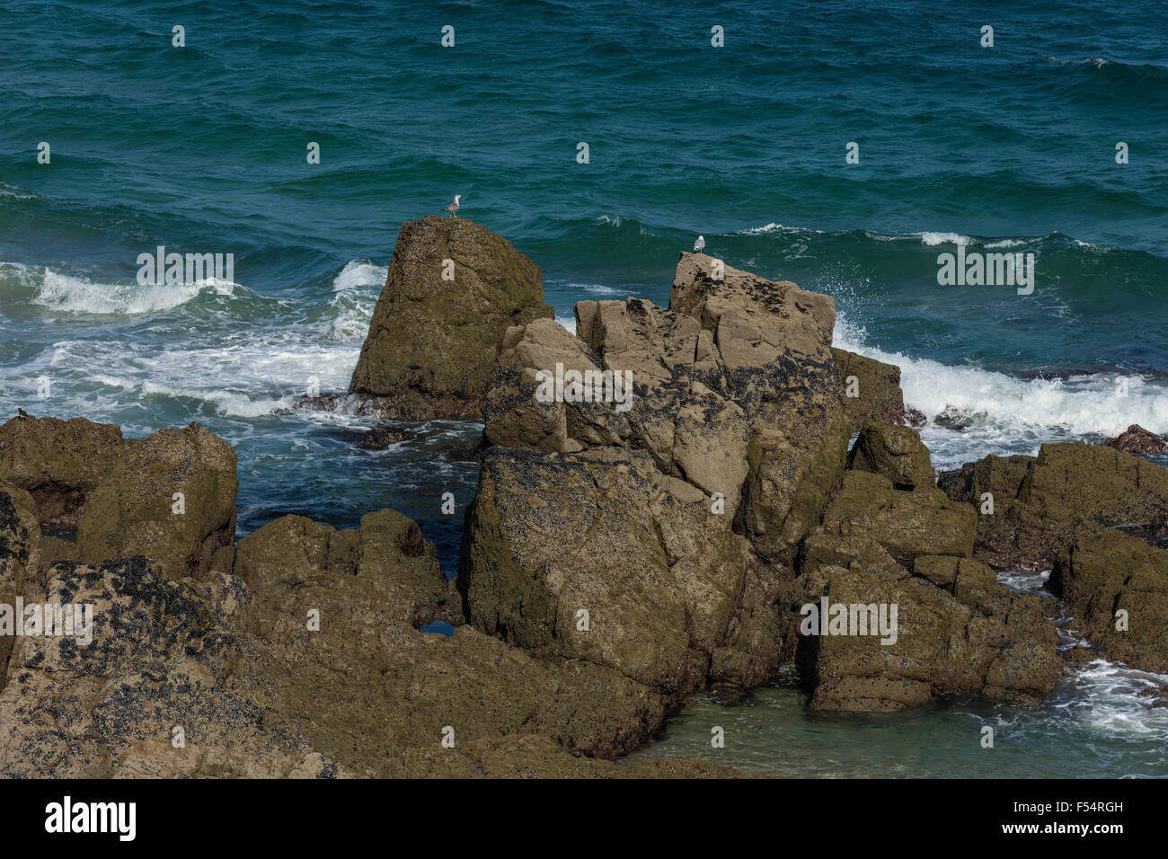 Rocks on the coast next to a bright blue sky with white waves in ...
