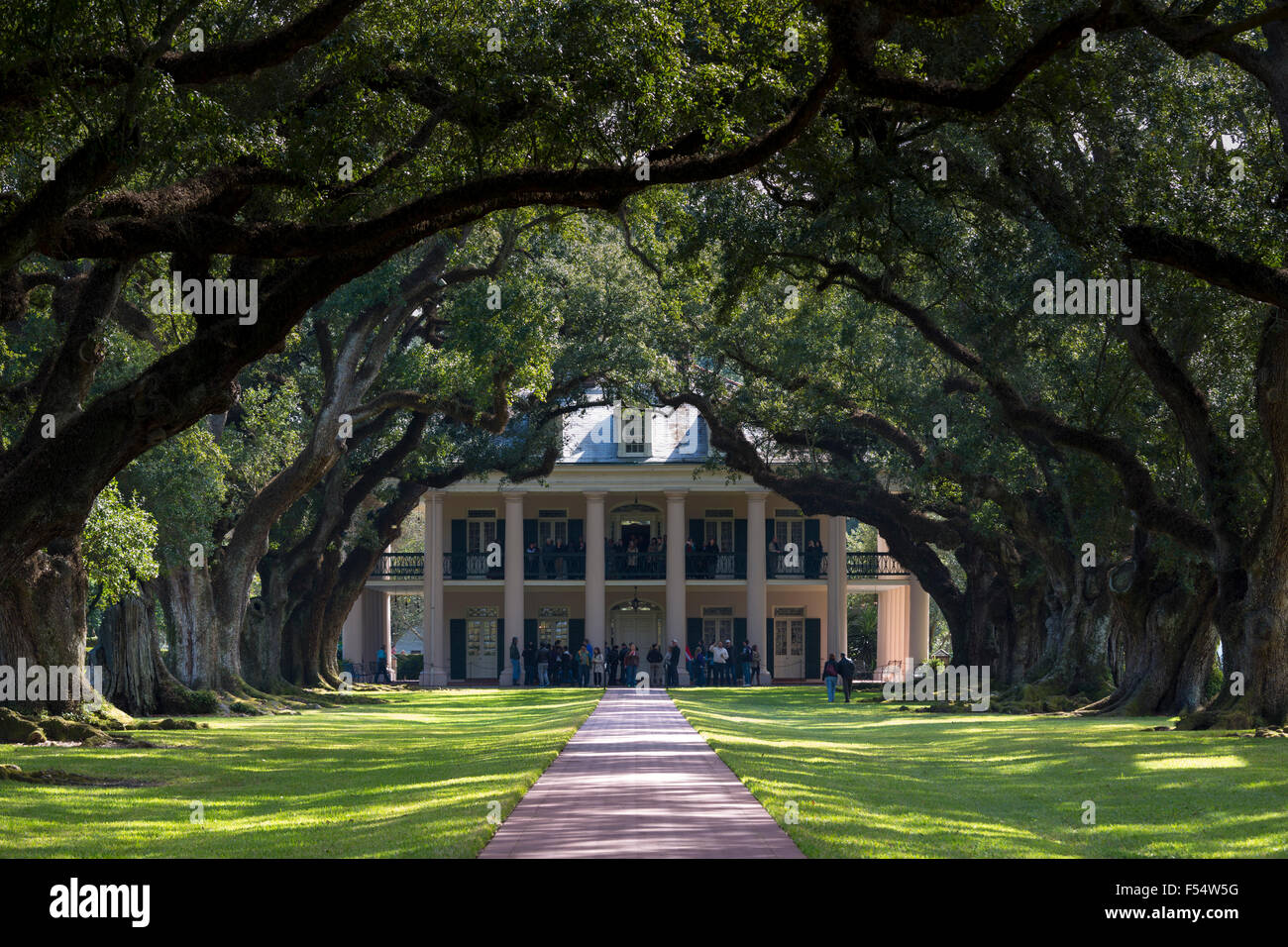 Oak Alley plantation antebellum mansion house and canopy of live oak ...