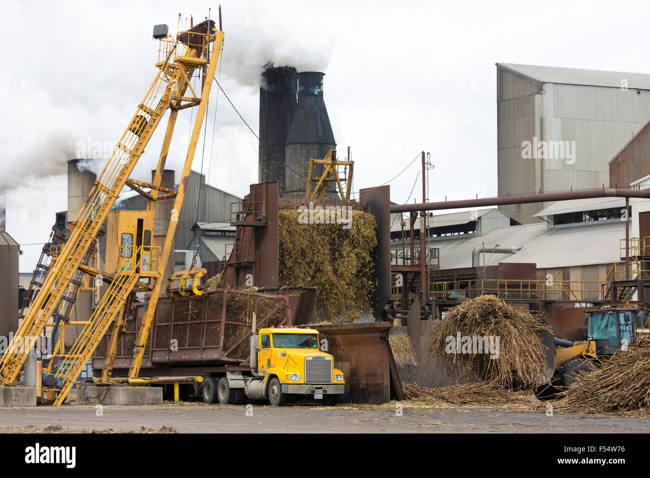 Sugarcane production factory St Mary Sugar Cooperative Sugar Mill