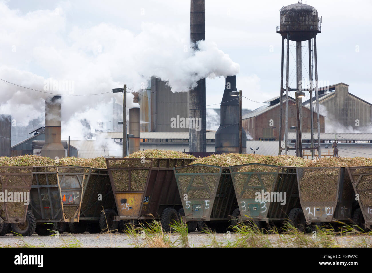 Sugarcane production factory St Mary Sugar Cooperative Sugar Mill
