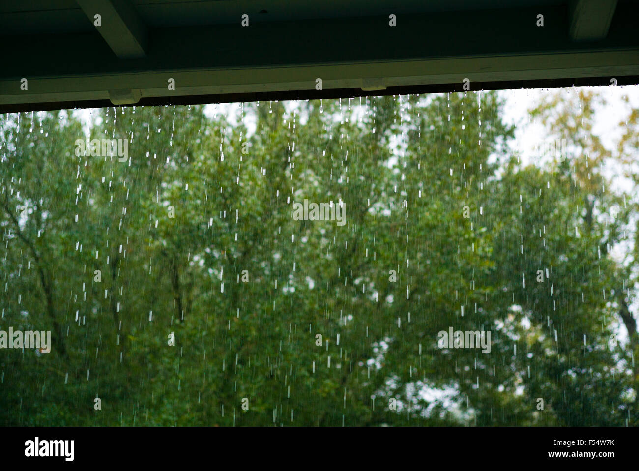 Heavy rainfaill inclement weather in the Mississippi Delta, Louisiana