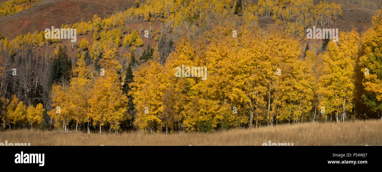 Mountain autumn color Stock Photo