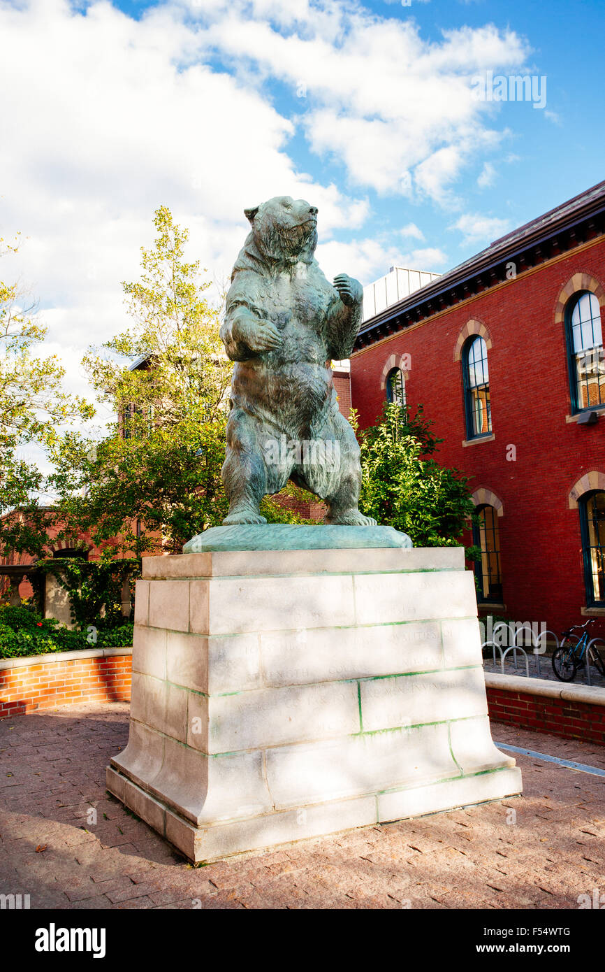 brown university mascot bruno bear statue Stock Photo Alamy
