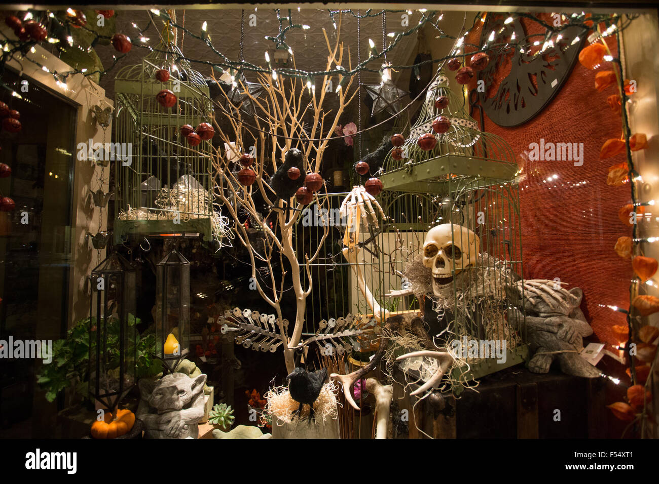 Halloween decoration store window Stock Photo - Alamy