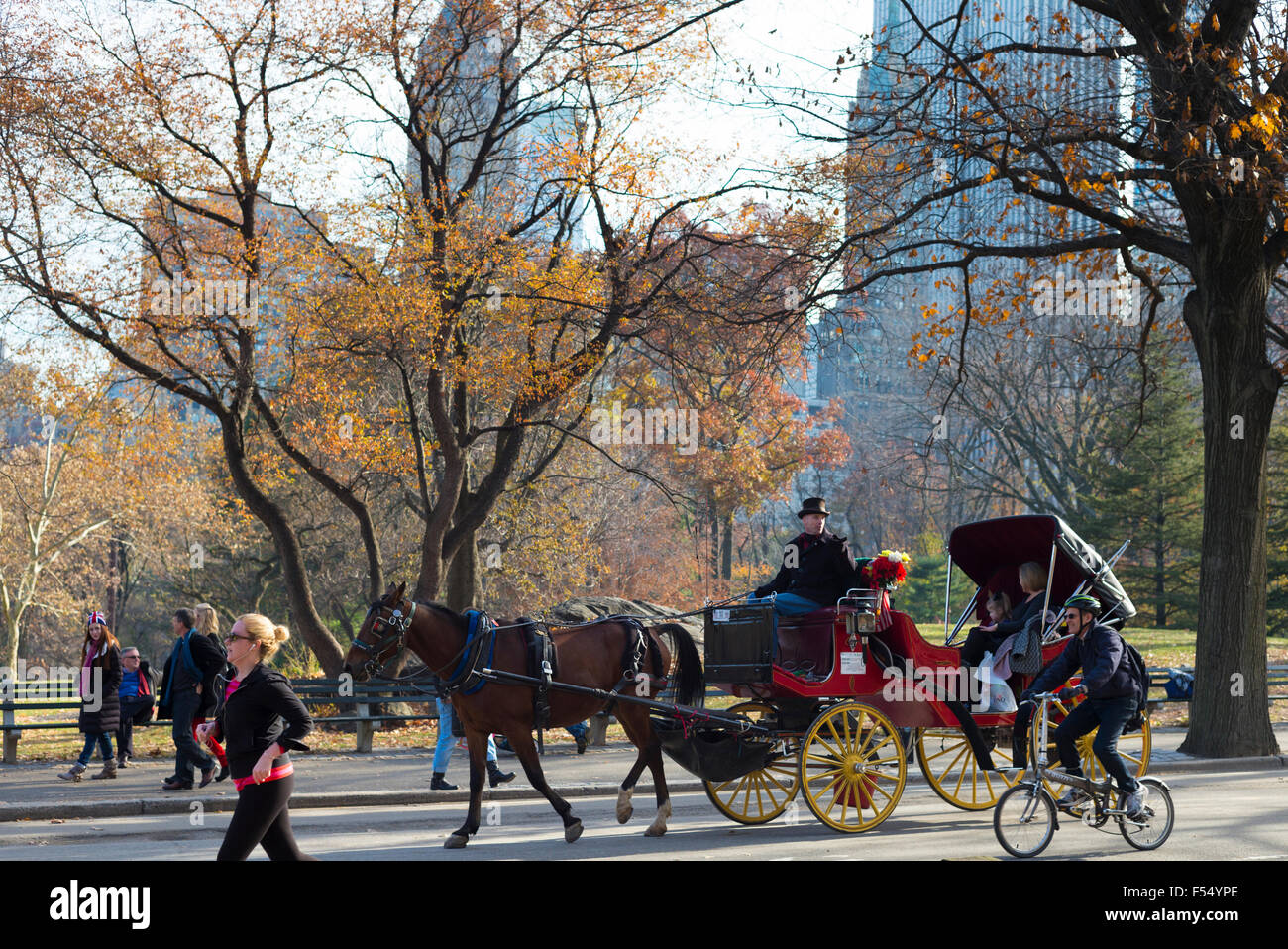 Central park carriage hi-res stock photography and images - Alamy