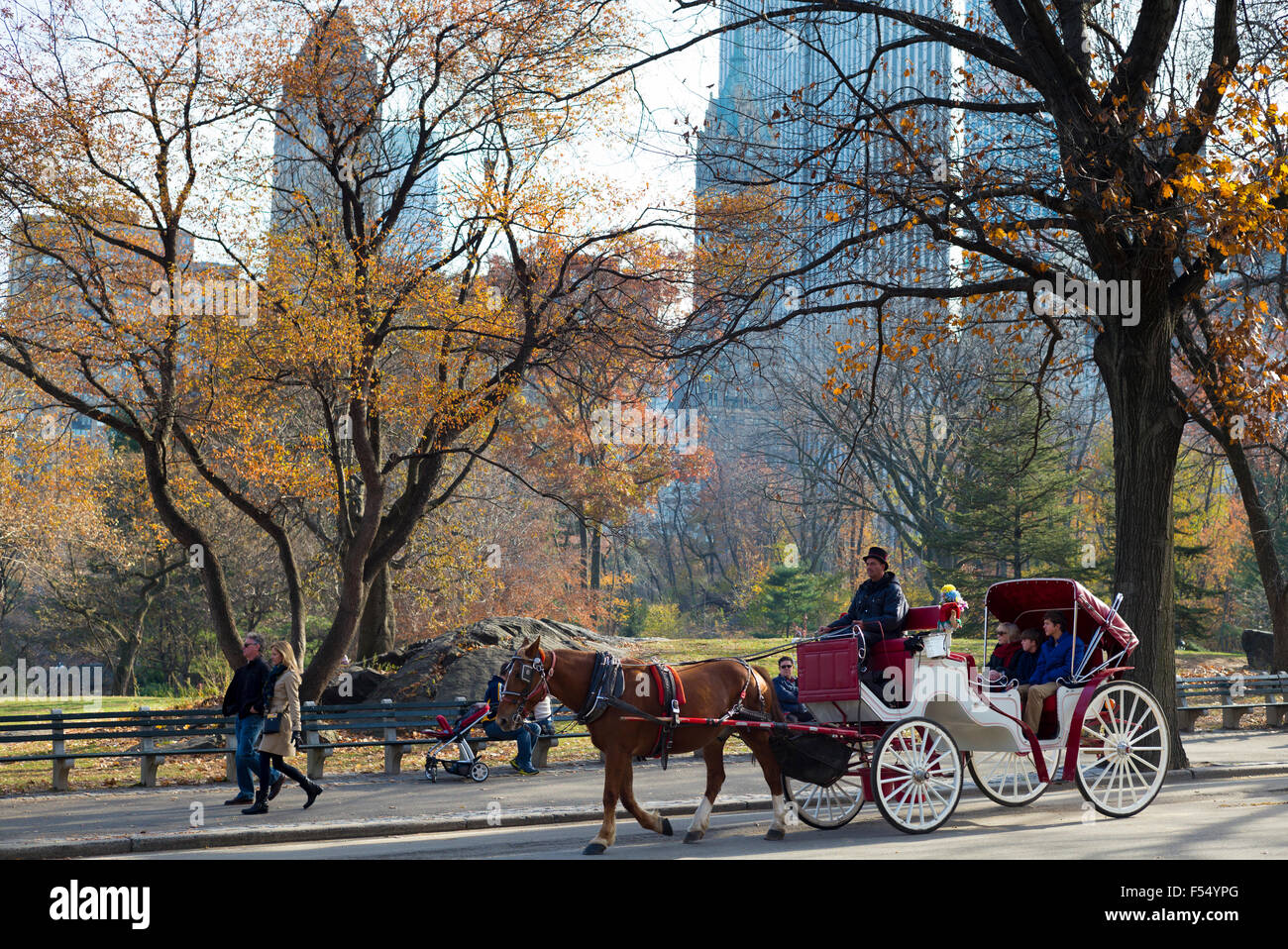 Tourists taking traditional horse and carriage ride in winter time in Central Park, New York, USA Stock Photo