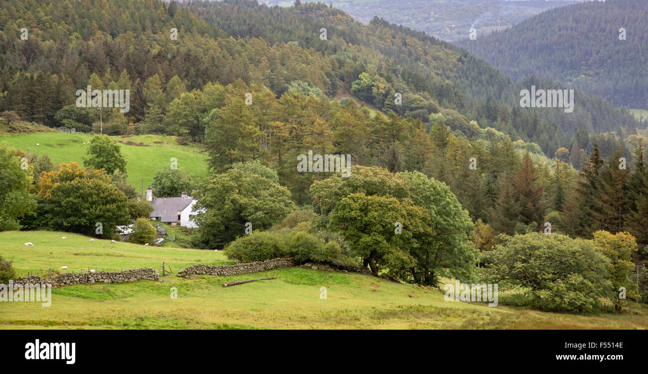 early autumn over Betws y coed forest, Snowdonia National Park, North Wales, UK Stock Photo