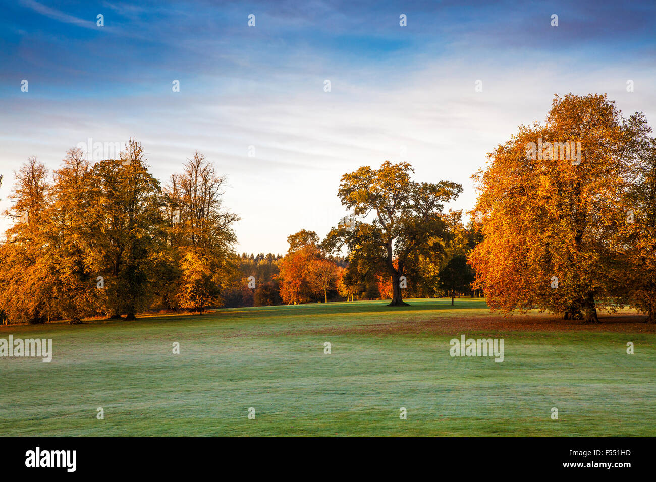 The parkland on the  Bowood Estate in Wiltshire in autumn. Stock Photo