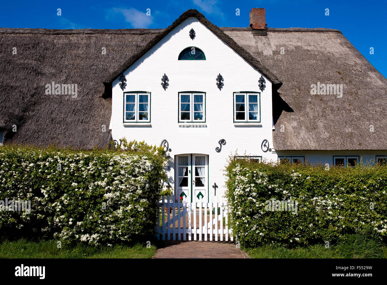 DEU, Germany, Schleswig-Holstein, North Sea, Amrum island, Frisian house in Steenodde.  DEU, Deutschland, Schleswig-Holstein, No Stock Photo