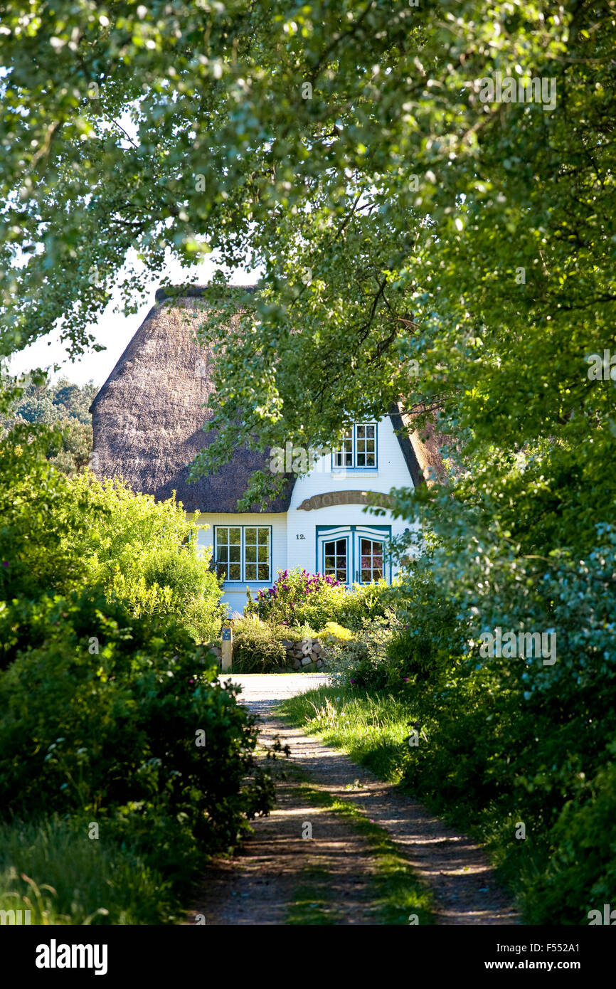 DEU, Germany, Schleswig-Holstein, North Sea, Amrum island, Frisian house in Steenodde.  DEU, Deutschland, Schleswig-Holstein, No Stock Photo