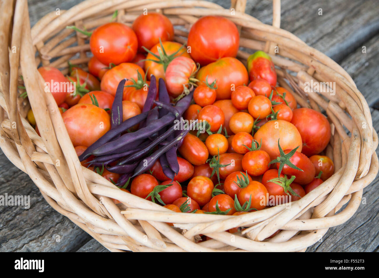 High angle view of fresh tomatoes and purple beans in wicker basket Stock Photo