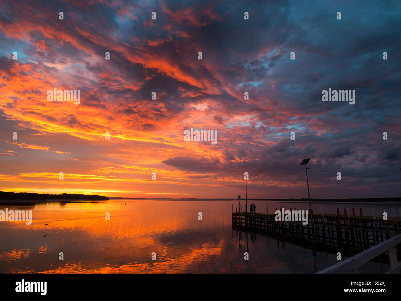 National dinosaur museum australia hi-res stock photography and images ...