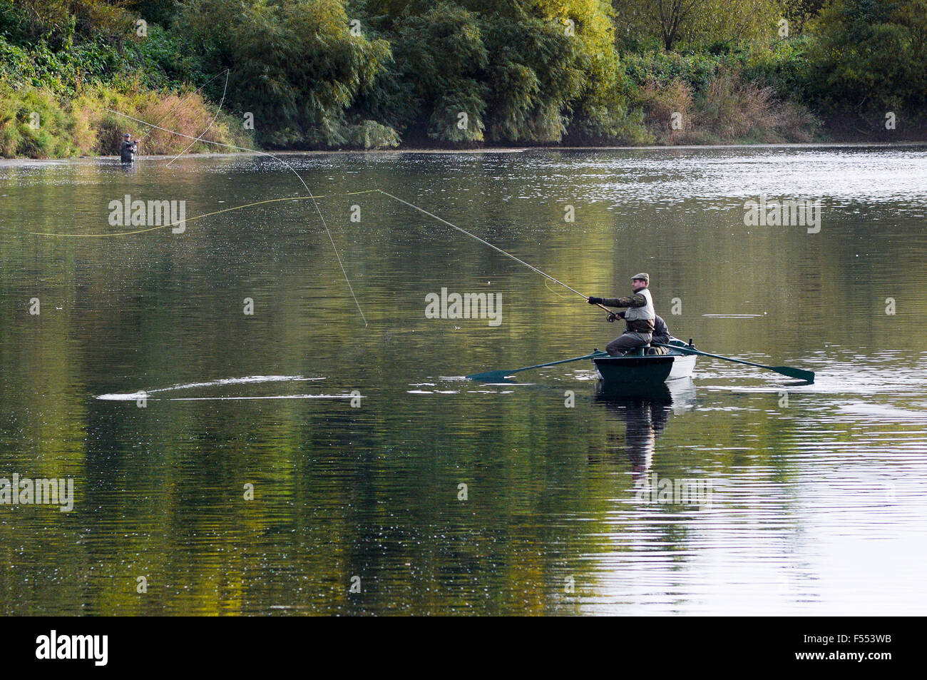 Atlantic Salmon Scotland Stock Photos & Atlantic Salmon Scotland Stock