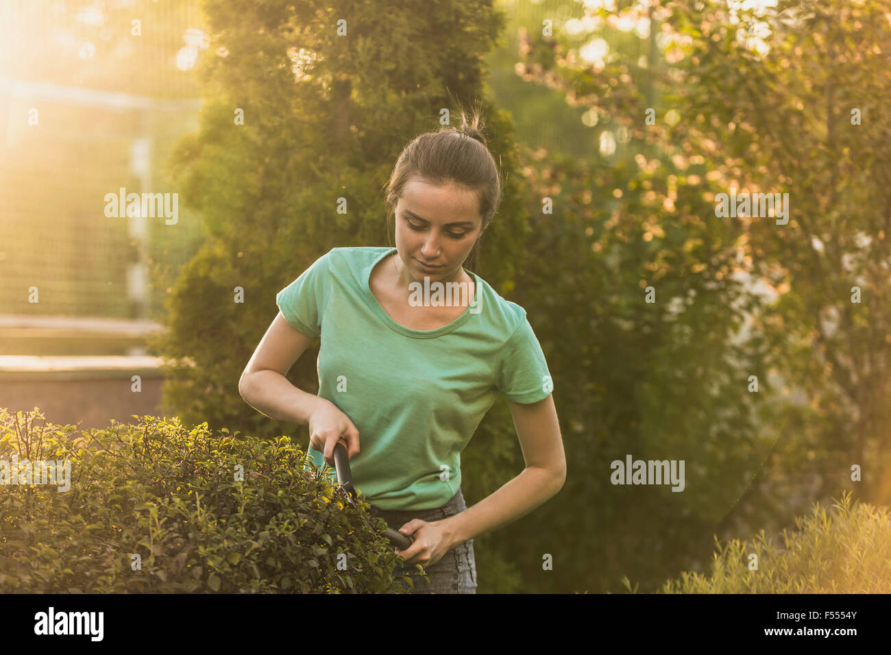 Woman cutting plants with pruning shears at yard Stock Photo