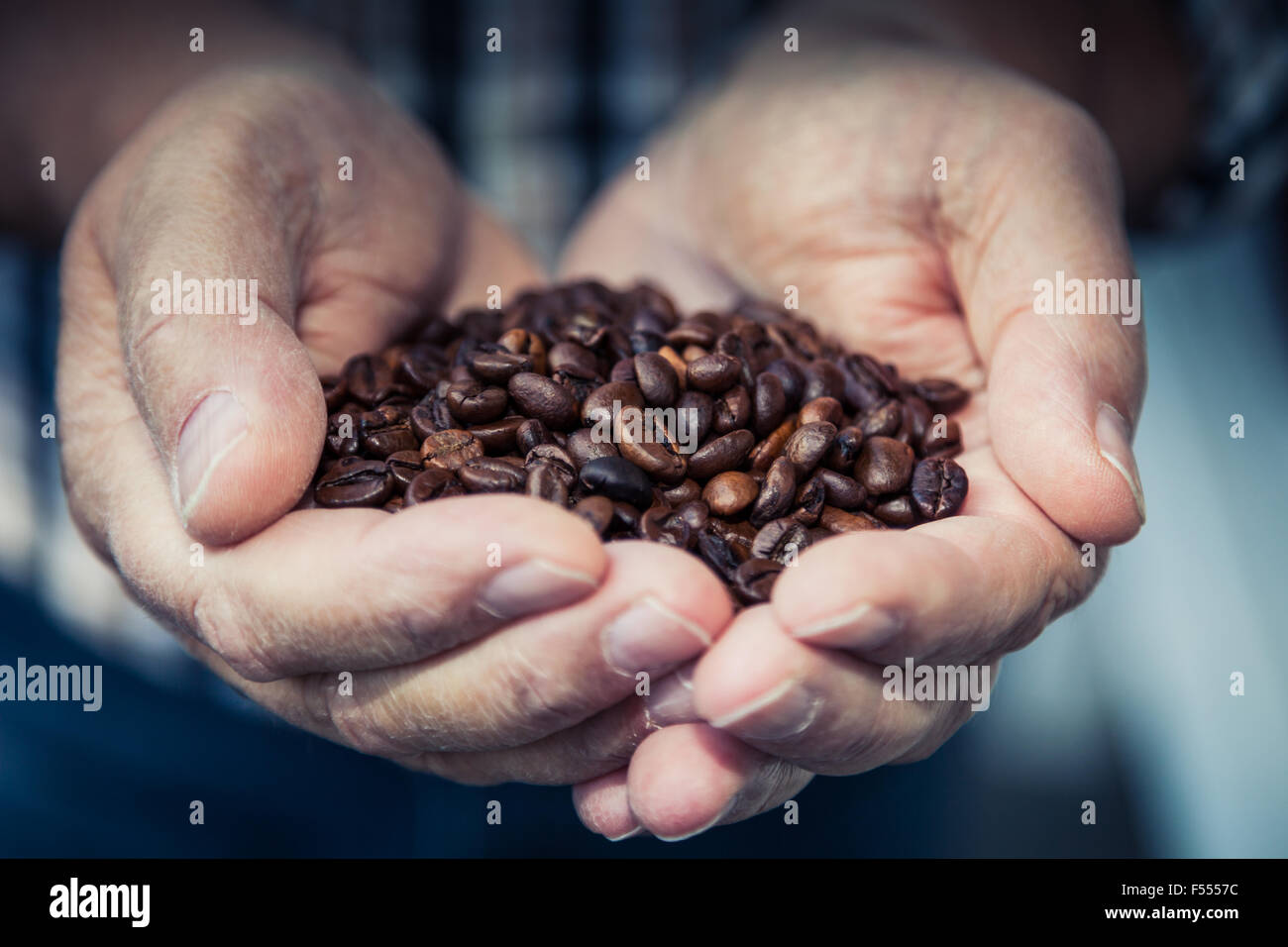 Hands holding pile of roasted coffee beans Stock Photo - Alamy