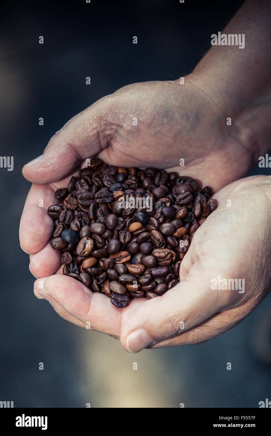 Hands holding pile of roasted coffee beans Stock Photo - Alamy