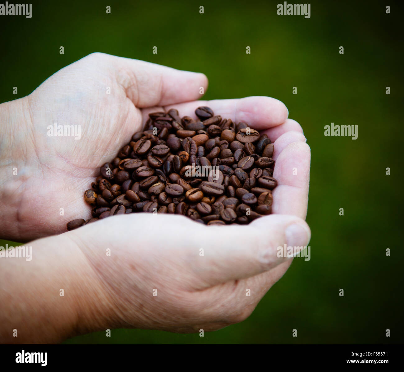 Hands holding pile of roasted coffee beans Stock Photo - Alamy