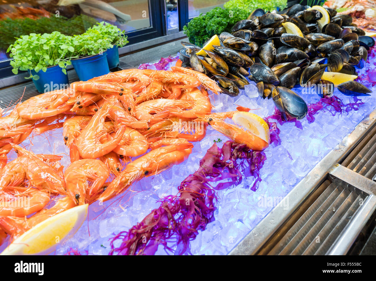 Seafood bar in buffet Stock Photo