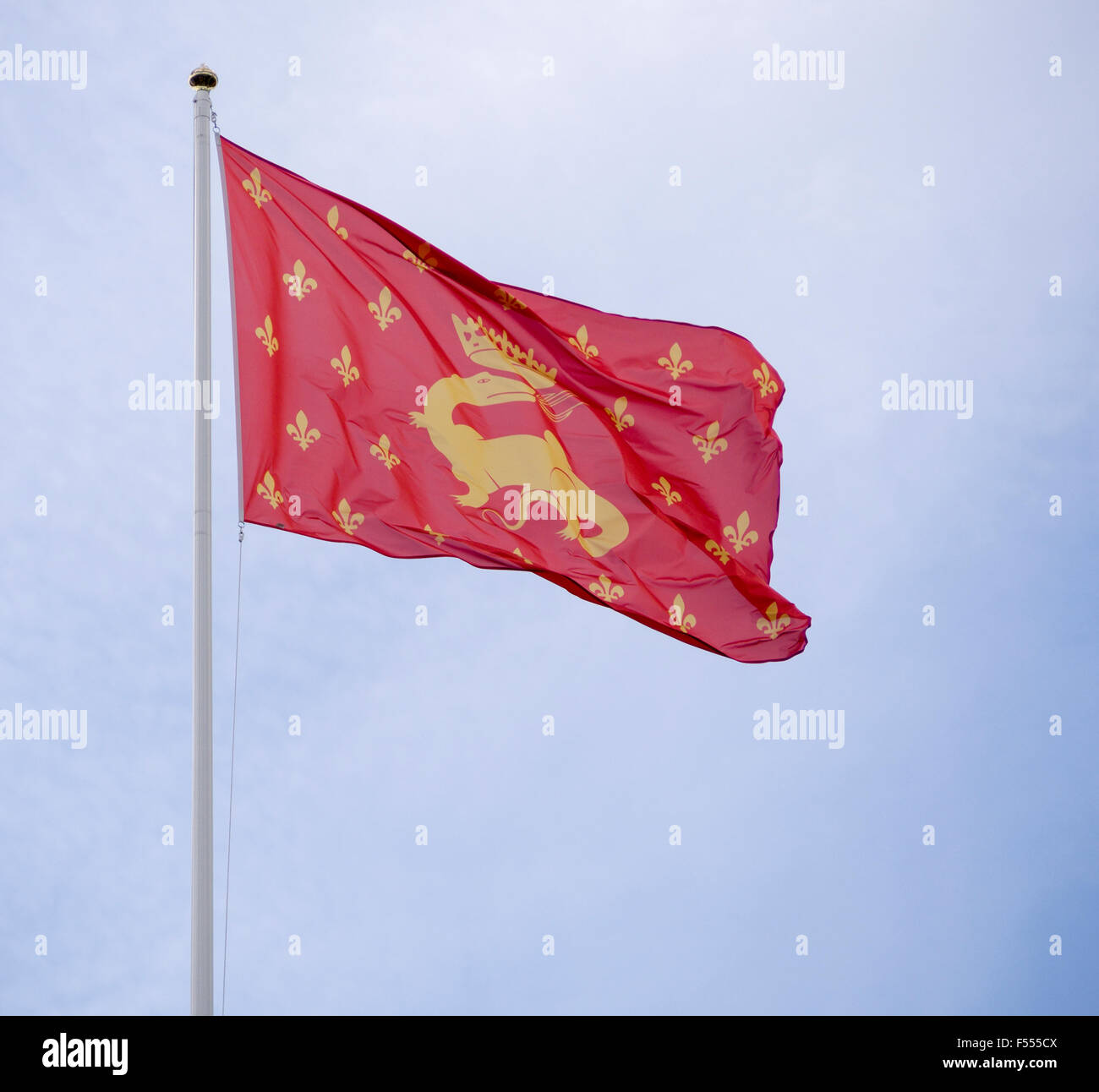 Francis I Royal Standard. The royal standard for King Francis I of France, a red field, golden salamander with fleurs de lis Stock Photo