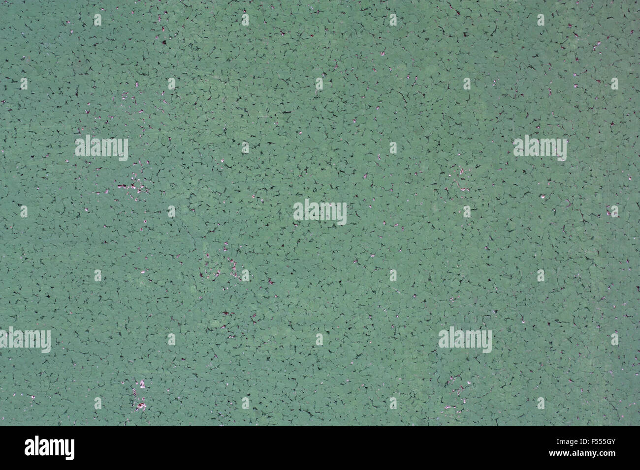 Abstract green background texture concept Stock Photo