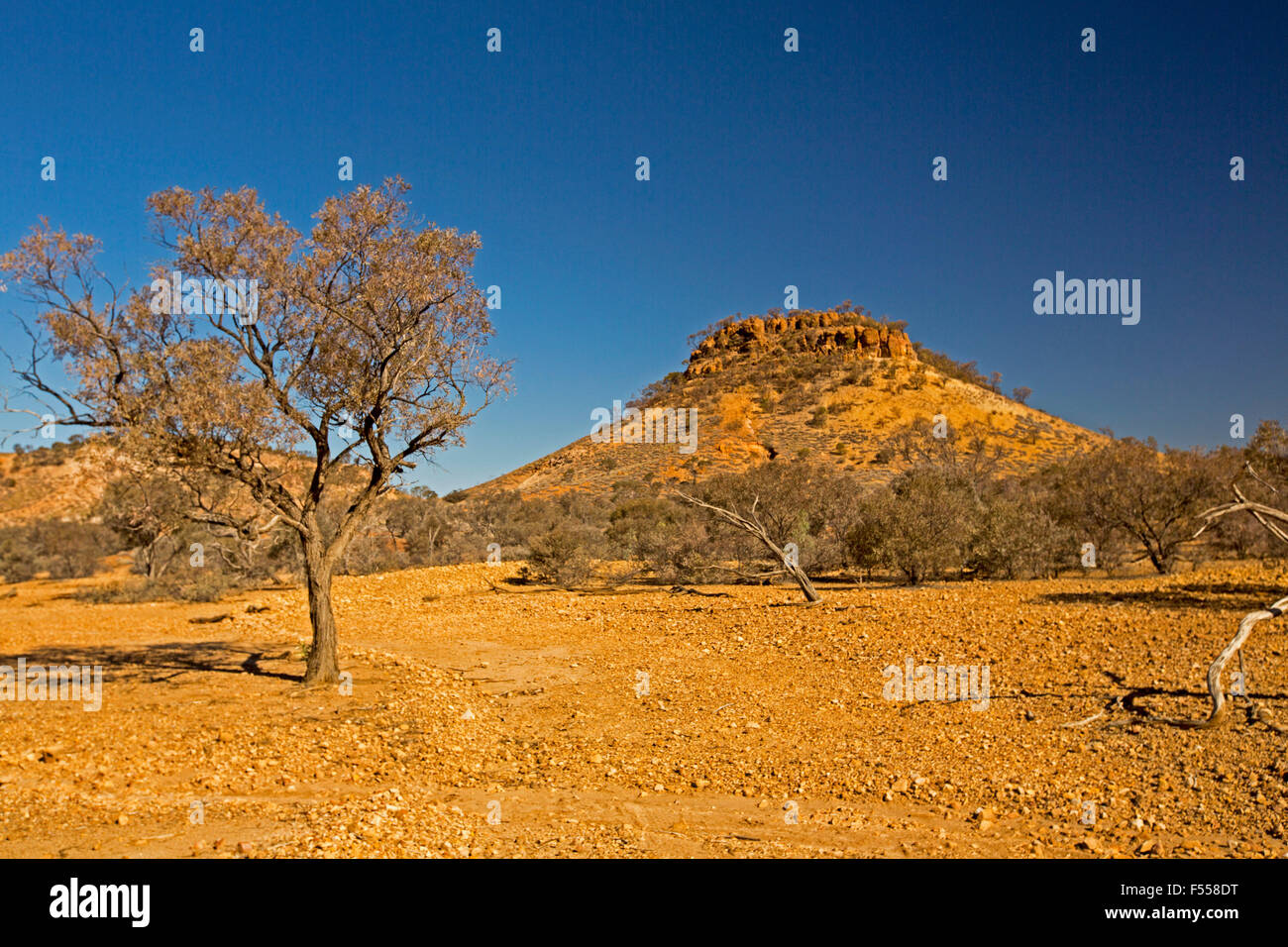 Australian outback landscape, conical flat-topped stony hill / mesa, hemmed by low trees, rising from barren red stony ground into blue sky Stock Photo