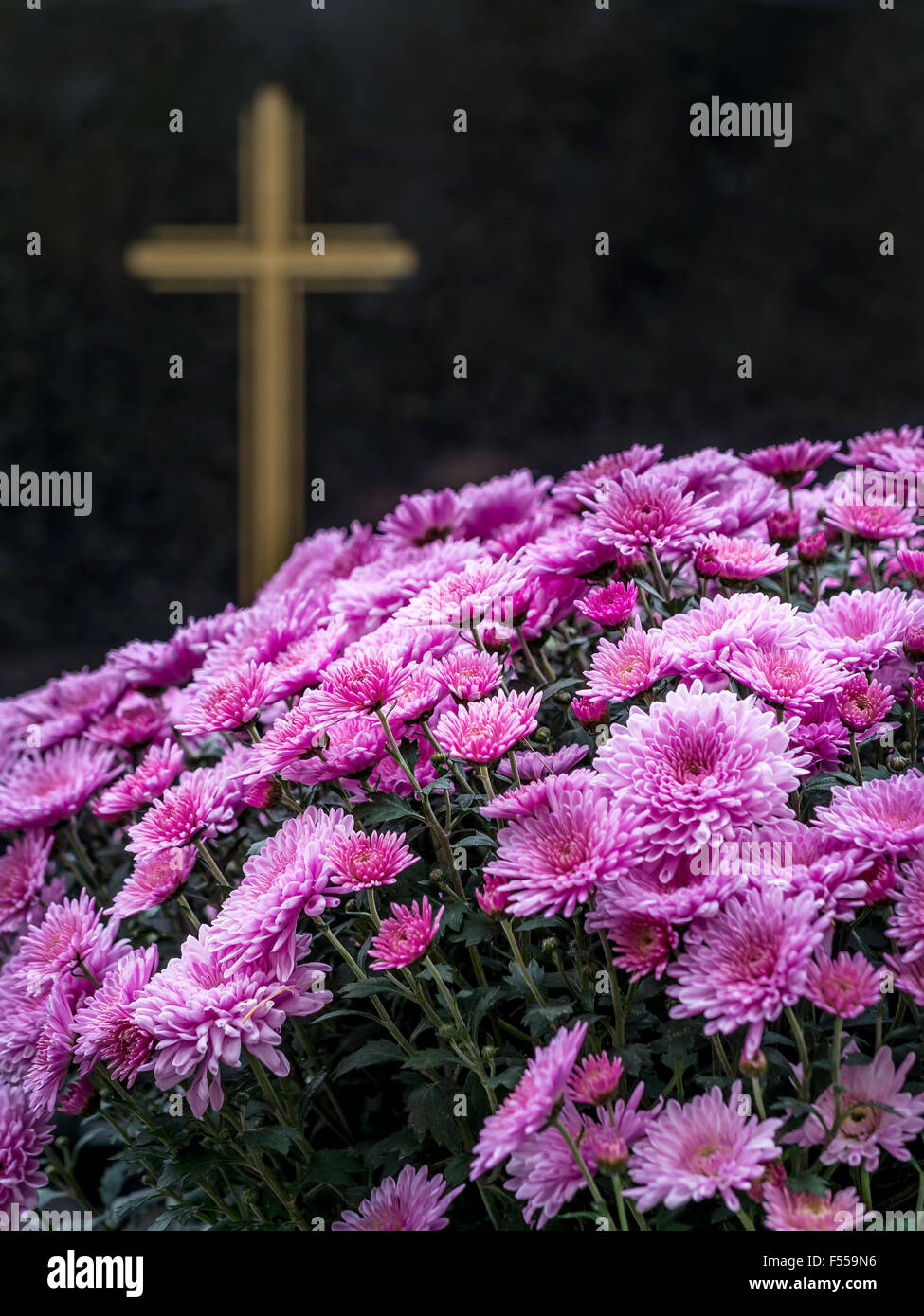 Closeup of black granite tombstone with flowers Stock Photo