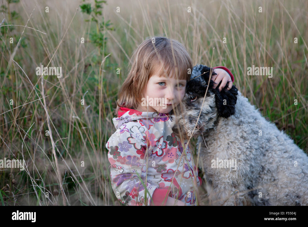 Portrait of cute girl sitting with dog on field Stock Photo - Alamy