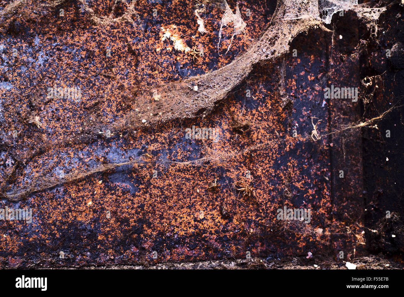 Rusty Web Rusty metal spider webs hi-res stock photography and images - Alamy