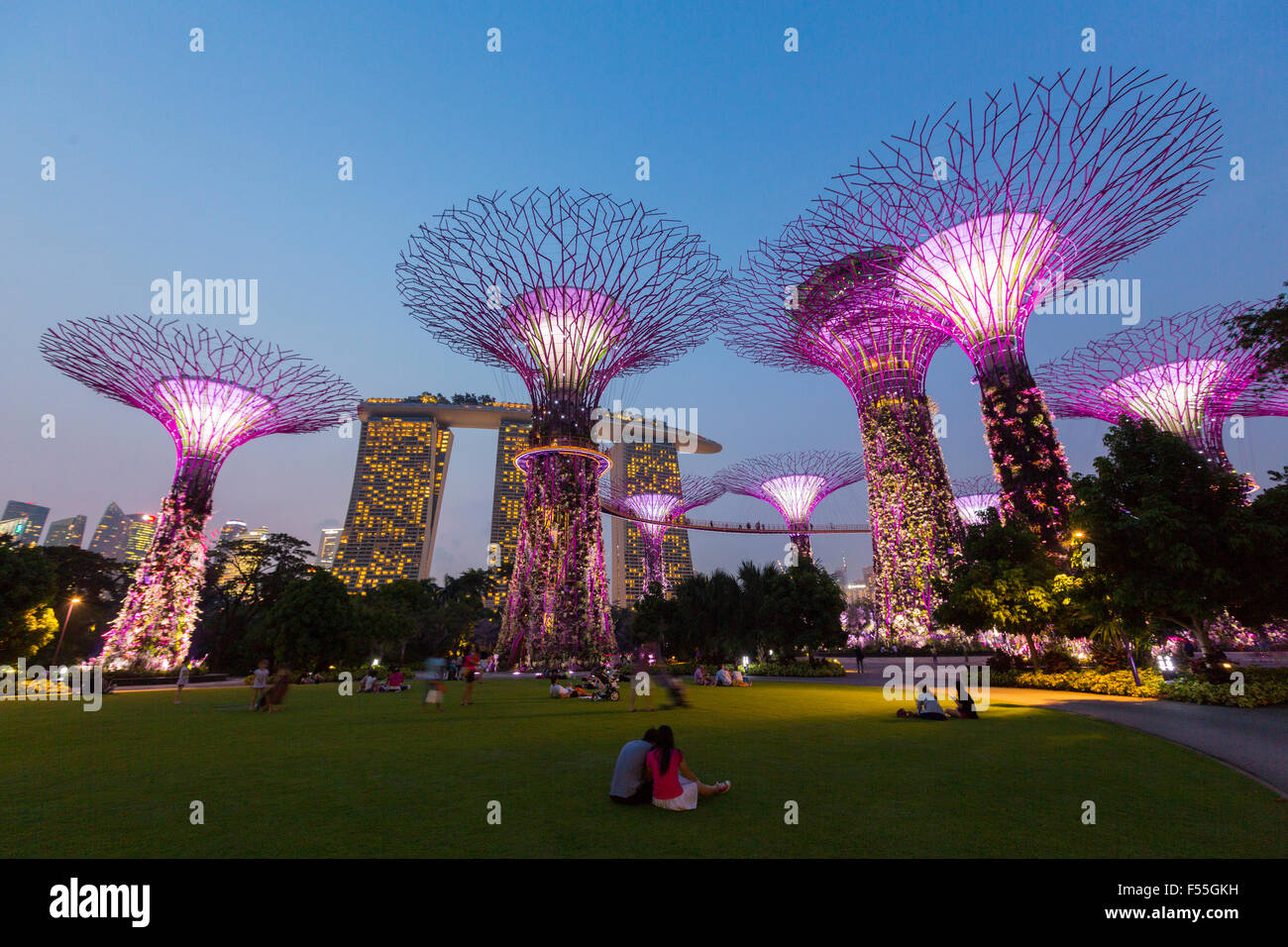 Singapore, Gardens by the bay, Supertree Grove Stock Photo